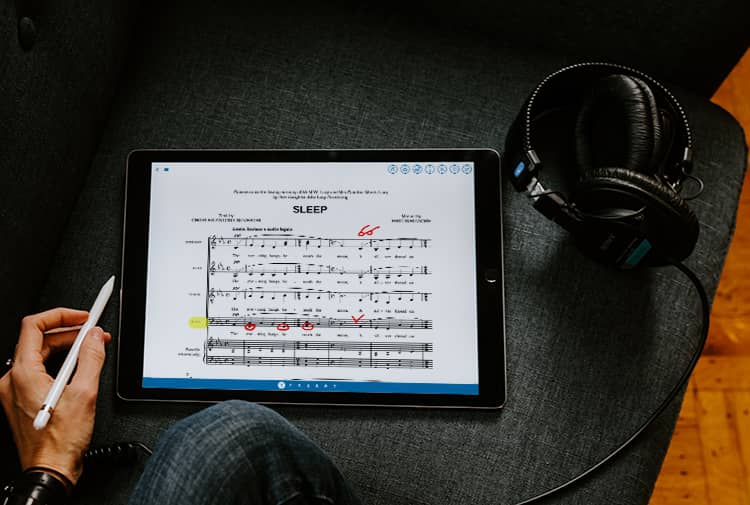 带注释的iPad Pro上的MusicNotes应用程序